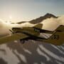 Wildland: Initial Attack