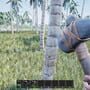 Wildlands Resurgence