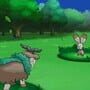 Pokémon Y